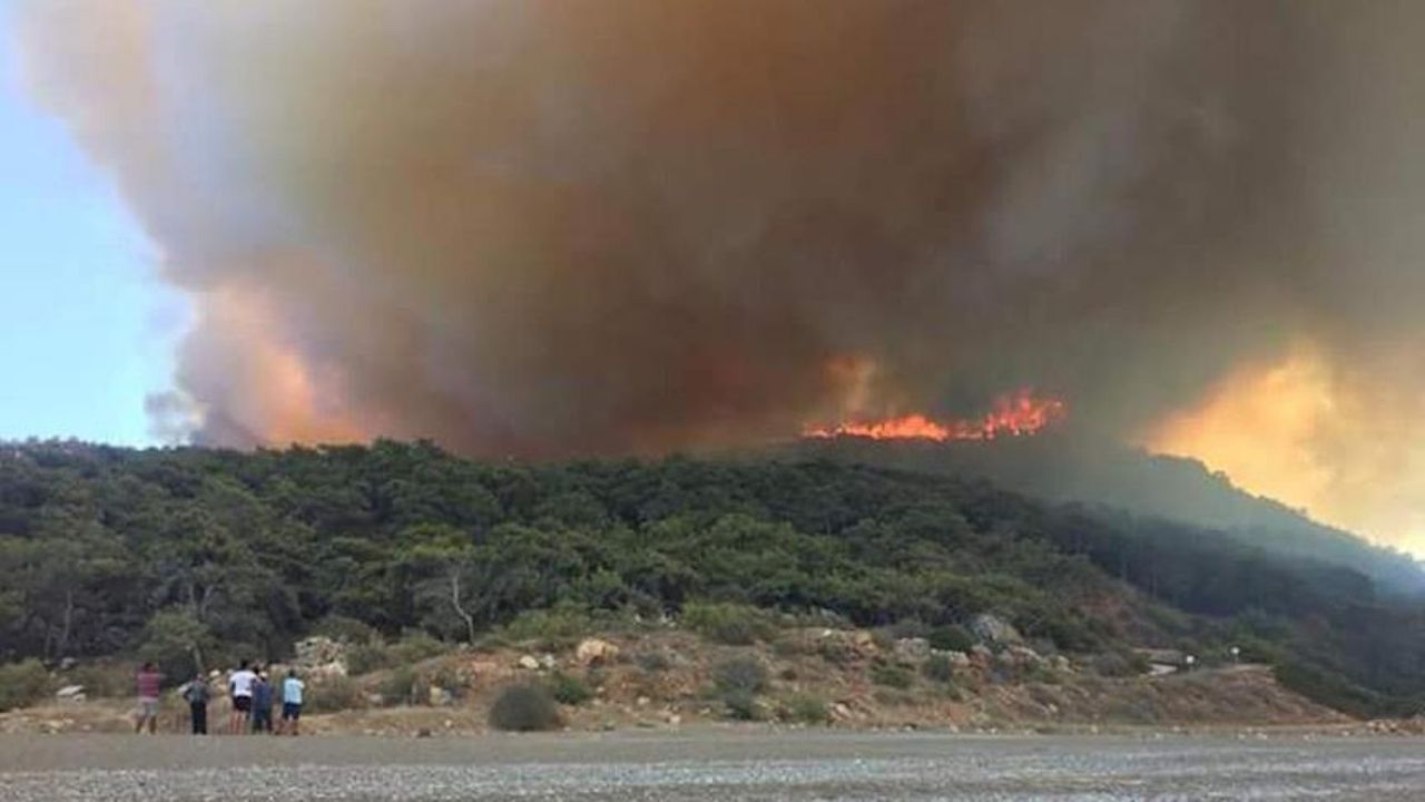 Antalya'daki Orman Yangını (1)