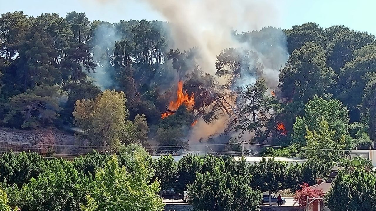 Antalya'daki Orman Yangını (3)