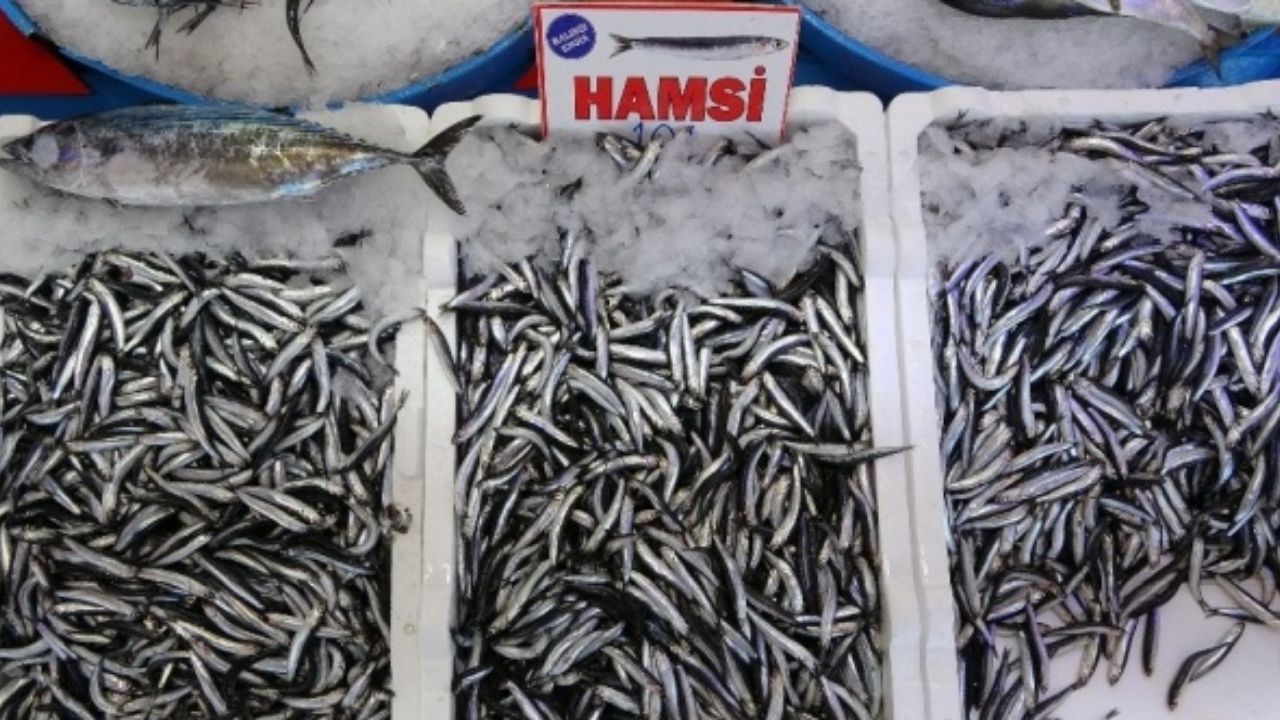 Karadeniz'in Altın Hazinesi Lezzet Şöleniyle Hamsi Rüzgarı!