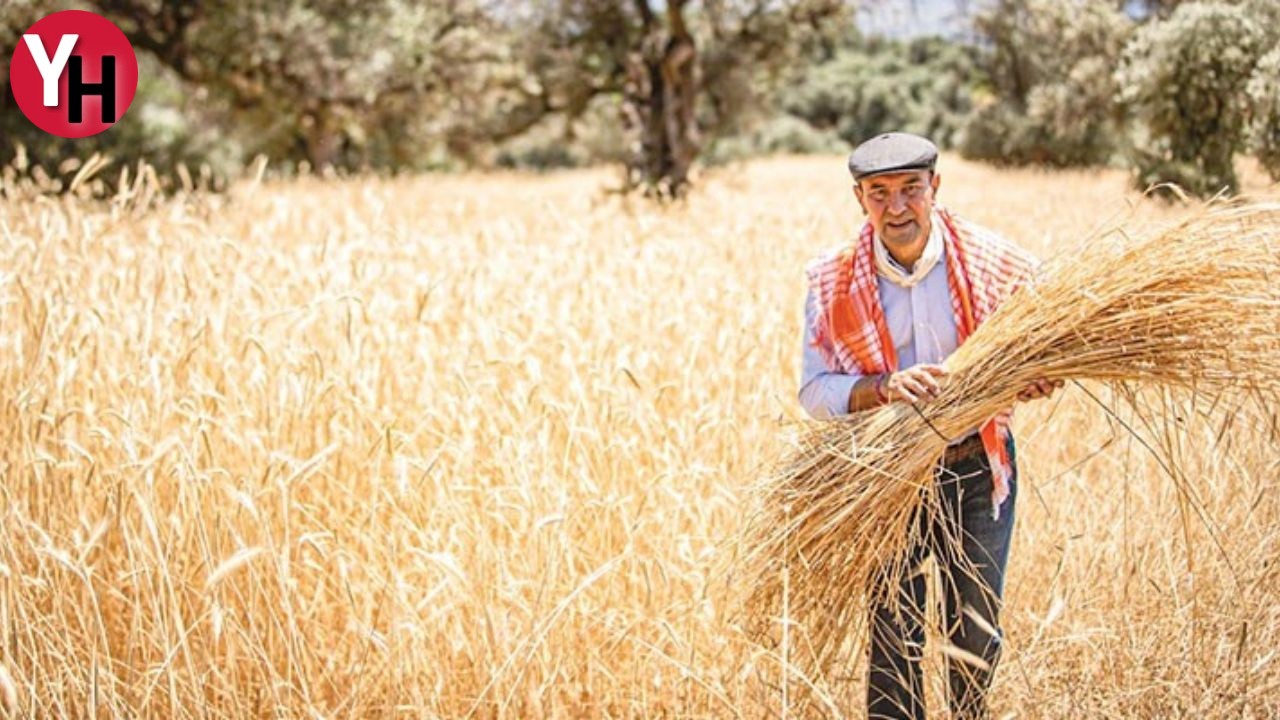 Tarımsal Üreticilere Müjde! %50 Hibe Desteği Başvuruları Devam Ediyor